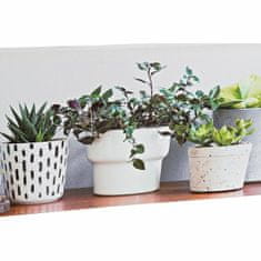 DKD Home Decor Slikarstvo DKD Home Decor Plant (90 x 1,8 x 30 cm) (2 enoti)