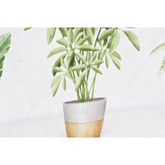 DKD Home Decor Painting DKD Home Decor Plant (90 x 2,3 x 30 cm) (90 x 1,5 x 30 cm) (2 enote)