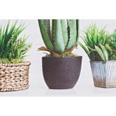 DKD Home Decor Painting DKD Home Decor Plant (80 x 2,3 x 40 cm) (80 x 2 x 40 cm) (4 enote)