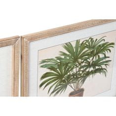 DKD Home Decor Slikarstvo DKD Home Decor 65 x 2 x 50 cm Palme tropske (4 kosi)