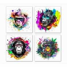 DKD Home Decor Slikarstvo DKD Home Decor Monkey Modern (50 x 1,8 x 50 cm) (4 enote)