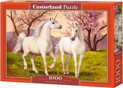 Castorland Unicorn Love Puzzle 1000 kosov