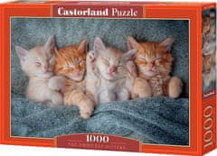 Castorland Puzzle Sweet kittens 1000 kosov