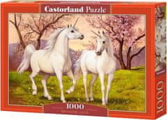 Castorland Puzzle Unicorn love 1000 kosov