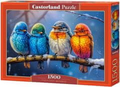 Castorland Puzzle Skupaj nam je topleje 1500 kosov