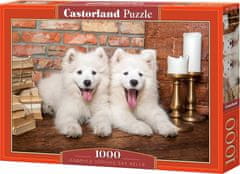 Castorland Puzzle Samojed mladički 1000 kosov