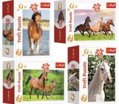 Trefl Display Puzzle World of horses 54 kosov (40 kosov)