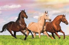 Trefl Display Puzzle World of horses 54 kosov (40 kosov)