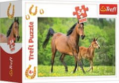 Trefl Display Puzzle World of horses 54 kosov (40 kosov)