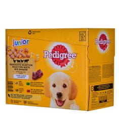 Pedigree PEDIGREE Junior Selection Mix - mokra hrana za pse, 12 x 100 g, različni okusi: jagnjetina, piščanec, goveje meso