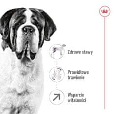 Royal Canin ROYAL CANIN Giant Adult - suha hrana za pse - 15 kg