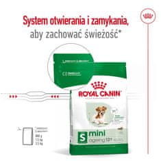 Royal Canin ROYAL CANIN Mini Ageing Adult +12 - suha hrana za pse - 3,5 kg