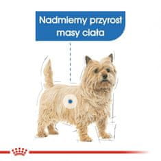 Royal Canin Royal Canin CCN MINI LIGHT WEIGHT CARE - suha hrana za odrasle pse - 3kg