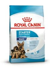 Royal Canin ROYAL CANIN SHN Maxi Starter Mother &amp; Babydog - suha hrana za pse - 4 kg