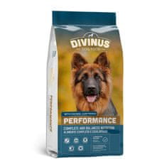 slomart DIVINUS Performance za nemške ovčarje - suha hrana za pse - 10 kg