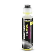 slomart KARCHER SUMMER WASHER FLUID RM 672 - 250ML