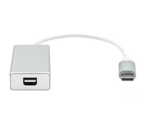 ProXtend Adapter/reduktor USB-C na Mini DP srebrn, 20 cm