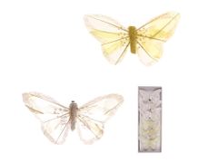 LAALU.cz Komplet 6 okraskov: metulji belo-rumena mešanica 10 cm