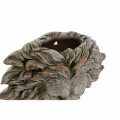 DKD Home Decor Rastlinjak DKD Home Decor iz steklenih vlaken Grey Lion (47 x 20 x 46 cm)