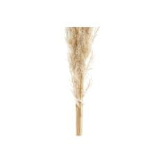 DKD Home Decor Kup DKD Home Decor Pampas Natural (30 x 30 x 110 cm)