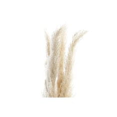 DKD Home Decor Kup DKD Home Decor Pampas Natural (30 x 30 x 110 cm)