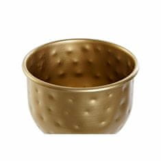 DKD Home Decor Lonček za sadike DKD Home Decor Golden Metal (13 x 13 x 20,5 cm)