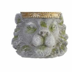 DKD Home Decor Lonček DKD Home Decor Grey Golden Lion Magnesium (29,6 x 29 x 31 cm)