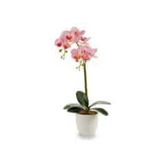 Miramarket Cvetlični lonec Orchid Vijoličasta Roza Lila Bela Plastika (51 cm)