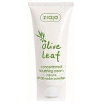 Ziaja Ziaja - Concentrated Nourishing Cream SPF 20 Olive Leaf 50 ml 50ml 