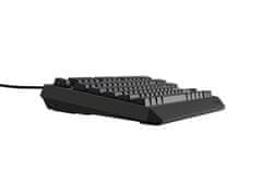 Genesis Gaming Keyboard THOR 230/TKL/RGB/Outemu Red/Wireless USB/US layout/Black