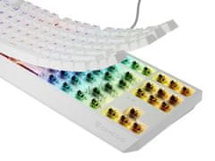 Genesis Gaming Keyboard THOR 230/TKL/RGB/Outemu Brown/Wired USB/US layout/White