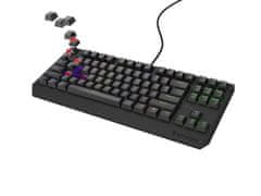 Genesis Gaming Keyboard THOR 230/TKL/RGB/Outemu Red/Wireless USB/US layout/Black