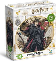 DoDo Puzzle Harry Potter: Mladi čarovnik 250 kosov