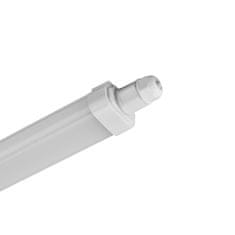 BRAYTRON PROLINE IPG linijska svetilka LED 32W hladno bela IP65 bela