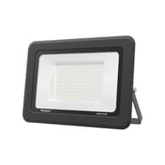 BRAYTRON FLOOD SF reflektor LED 100W dnevno bela IP54 črn