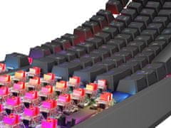 Genesis Gaming Keyboard THOR 230/TKL/RGB/Outemu Red/Wireless USB + Bluetooth/US layout/Black