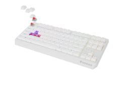 Genesis Gaming Keyboard THOR 230/TKL/RGB/Outemu Red/Wireless USB + Bluetooth/US layout/White