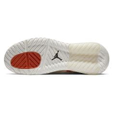 Nike Čevlji 45.5 EU Jordan Max 200