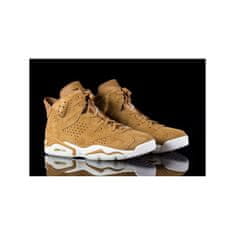 Nike Čevlji rjava 44 EU Jordan VI Retro Wheat Pack