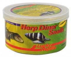 Lucky Reptile Herp Diner - polži 35g Polži 35g