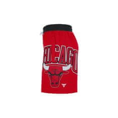 Nike Hlače rdeča 188 - 192 cm/XL Nba Chicago Bulls Courtside 75