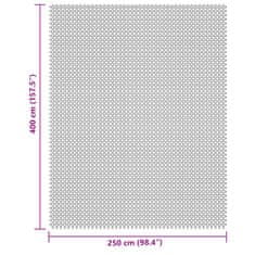 Vidaxl Podloga za kampiranje svetlo siva 4x2,5 m