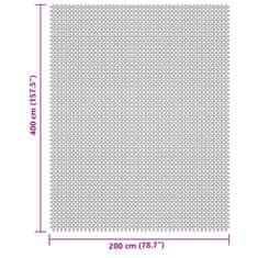 Vidaxl Podloga za kampiranje svetlo siva 4x2 m