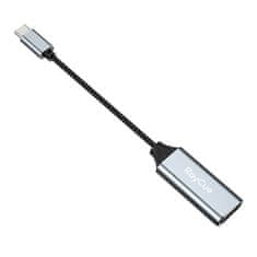 slomart Adapter RayCue USB-C na HDMI 4K60Hz (siv)