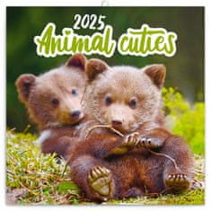 Notique Koledar za beležke Cubs 2025, 30 x 30 cm