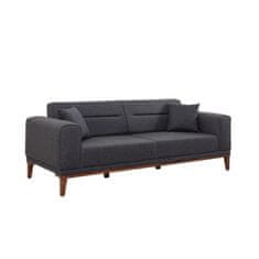 Atelier Del Sofa Raztegljiv kavč s 3 sedeži, Liones - antracit