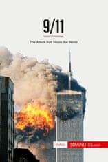 Kniha 9/11