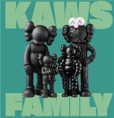 Kniha Kaws