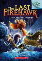 Crystal Caverns: A Branches Book (The Last Firehawk #2)