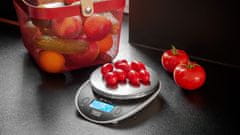 Teesa Kuhinjska digitalna tehtnica osvetljena od 0,1g do 5kg